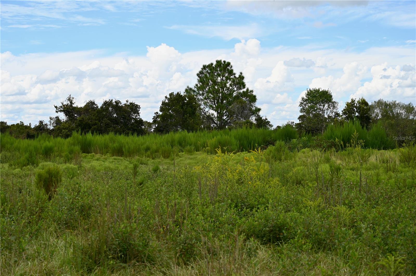 UNRE LEGACY RANCH - Land