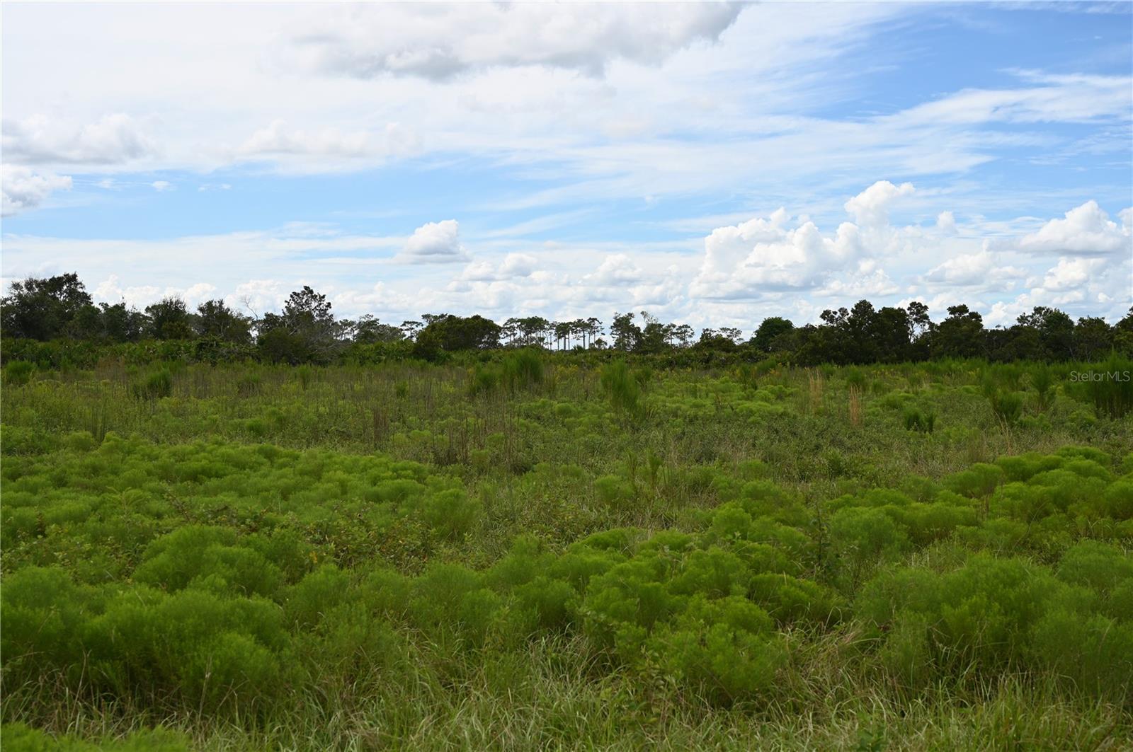 UNRE LEGACY RANCH - Land