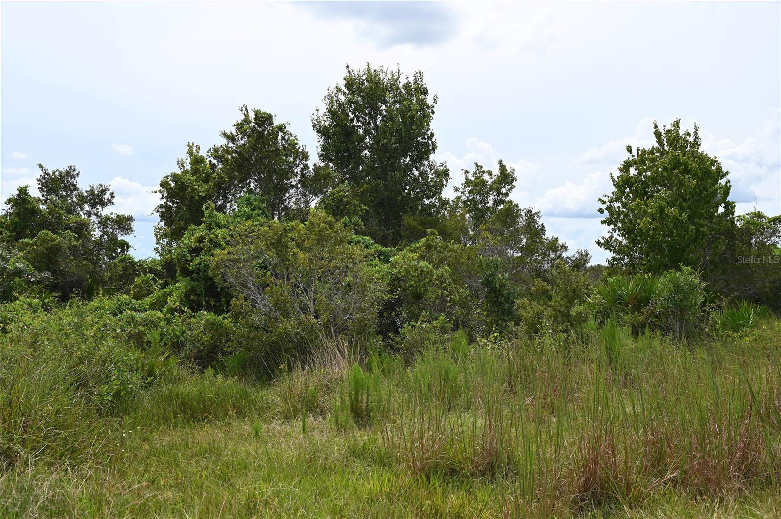 UNRE LEGACY RANCH - Land