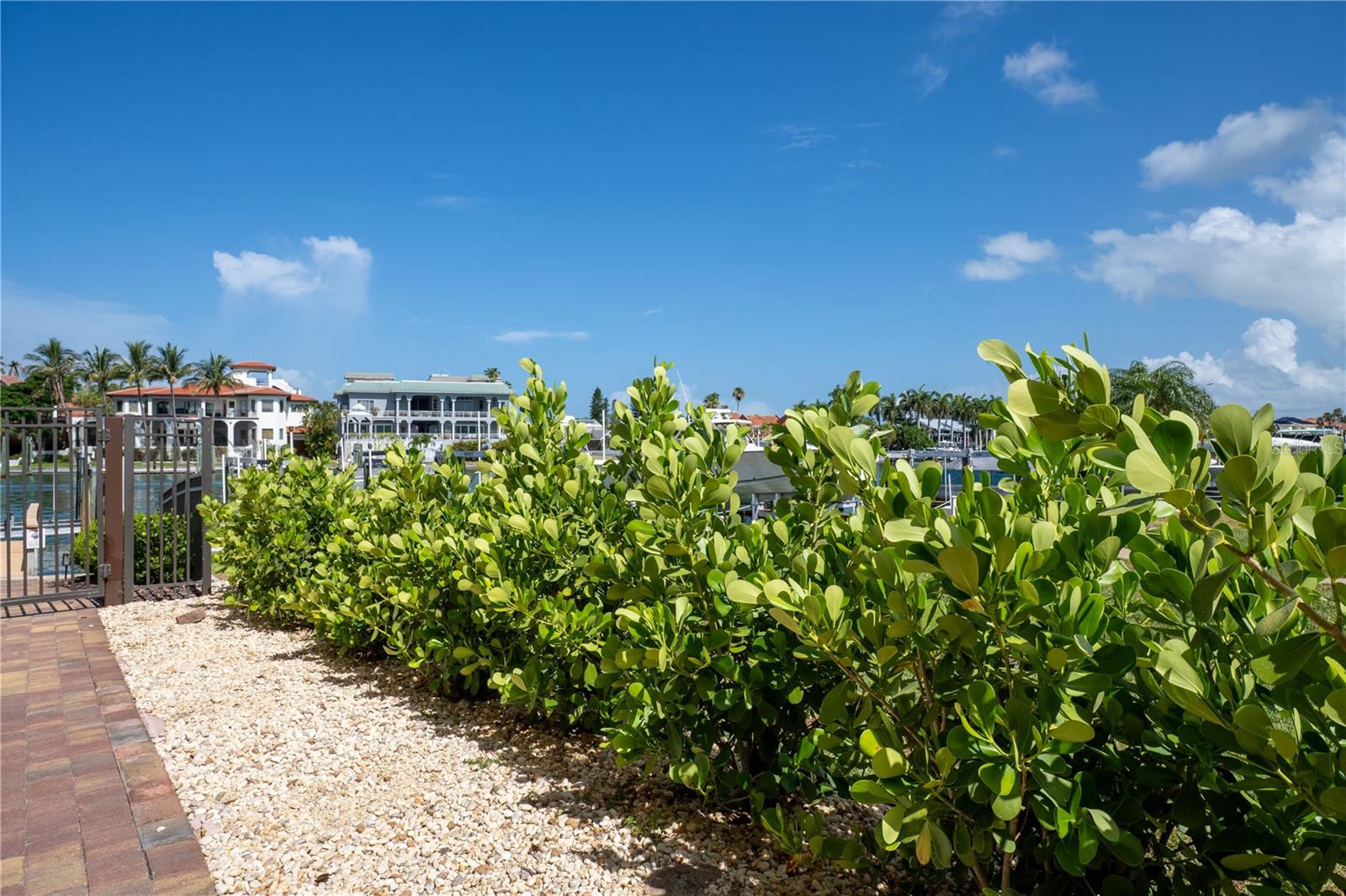 COVE ON THE GULF CONDO - Residential