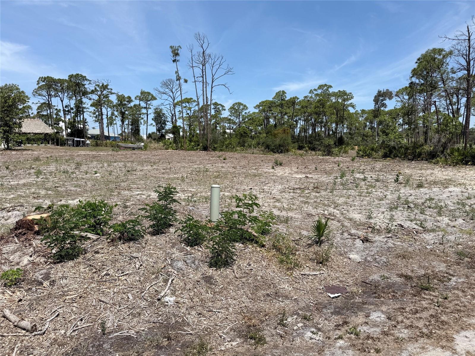 WHISPERING PINES - Land