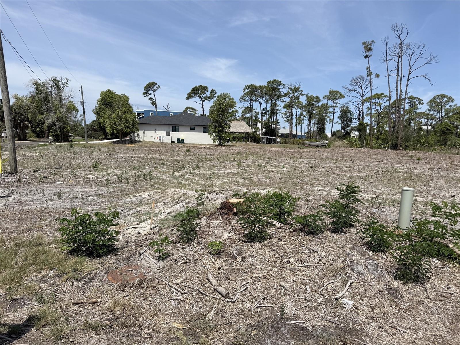 WHISPERING PINES - Land