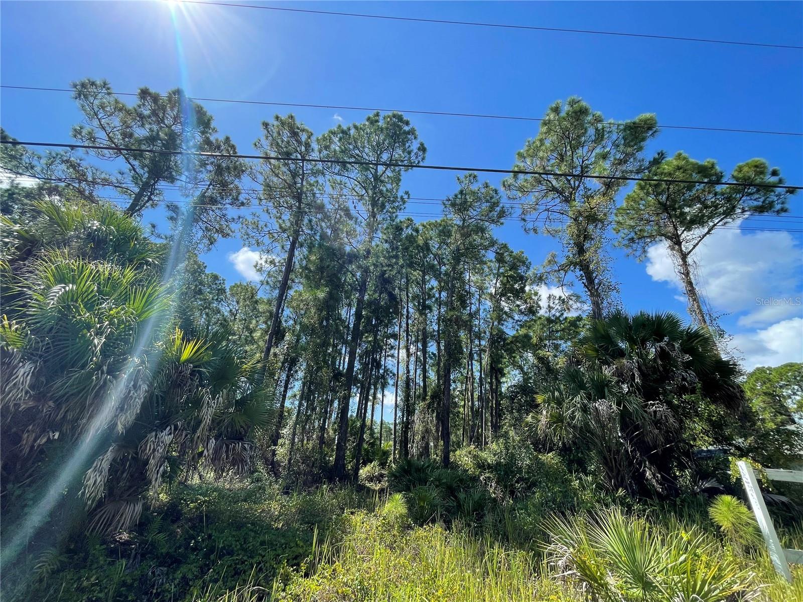 Build Your Dream Home on This Prime North Port Lot – Noppenberg Ave, Lot #30

Discover an exceptional opportunity to own a buildable lot in one of Southwest Florida’s fastest-growing communities. Lot #30 on Noppenberg Avenue in North Port, FL 34228 offers a great chance to build your custom home in a quiet, greenbelt-lined neighborhood while staying close to everyday conveniences.

This approximately 0.23-acre parcel is suitable for a single-family residence and features paved city road access with a greenbelt view, providing added privacy. City water and nearby utilities are available, and the property is residentially zoned (RSF2). Enjoy no HOA, low taxes, and a location outside of flood zones — making this a simple and flexible building opportunity.

Conveniently located just minutes from shopping, dining, grocery stores, and retail plazas, with quick access to I-75 for easy commuting. North Port continues to see steady growth and new development, including the future Sarasota Memorial Hospital–North Port campus, a full-service hospital currently under construction near I-75 that will expand medical services, create jobs, and further enhance the area’s appeal.

With increasing development and infrastructure investment throughout North Port, many buyers are choosing to secure lots now and hold for future appreciation as the area continues to build out — making this property attractive for both end-users and investors alike.

Whether you’re building now or holding for the future, this lot offers an excellent combination of location, value, and long-term potential.