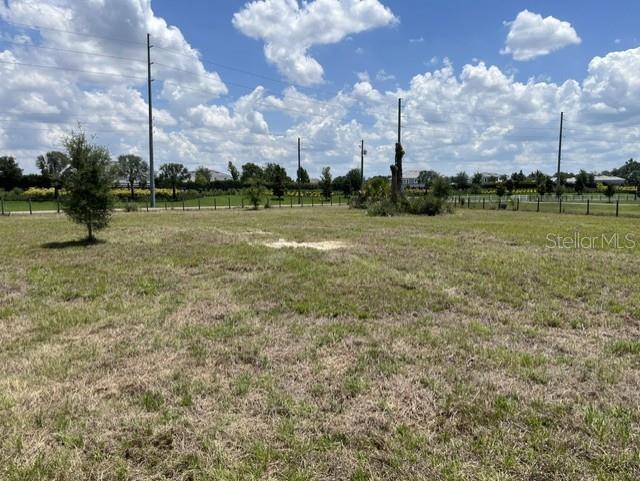Build your dream home on this beautiful acreage property in Odessa, Florida.

Discover the perfect canvas for your custom home! Nestled in the serene and highly sought-after equestrian area of Northwest Hillsborough County, this sprawling property offers 2.39 acres of prime, agricultural-zoned land. Whether you envision a luxury estate, a private equestrian haven, or a peaceful country retreat, this lot provides the boundless space and tranquility you desire without sacrificing everyday convenience.