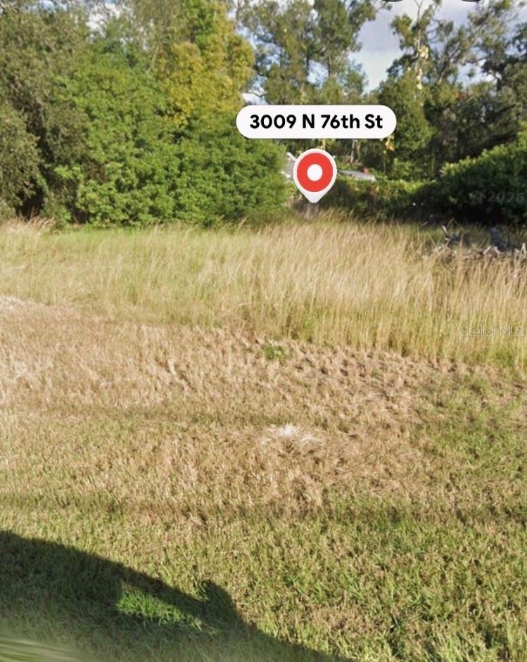TAMPA TOURIST CLUB - Land