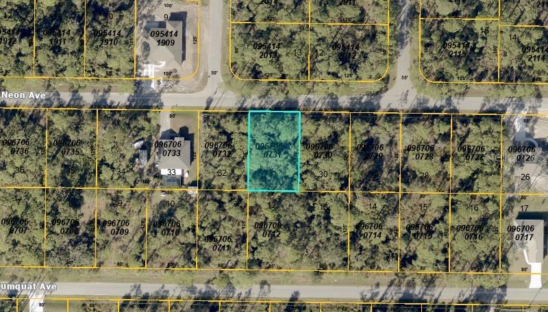 Tucked away on a peaceful street in North Port, this vacant lot is the perfect spot to build your future home. Surrounded by nature with newer homes scattered  throughout, yet just minutes from stores, gyms, parks, and I-75. This location offers privacy and convenience in one of Florida’s fastest growing cities.
