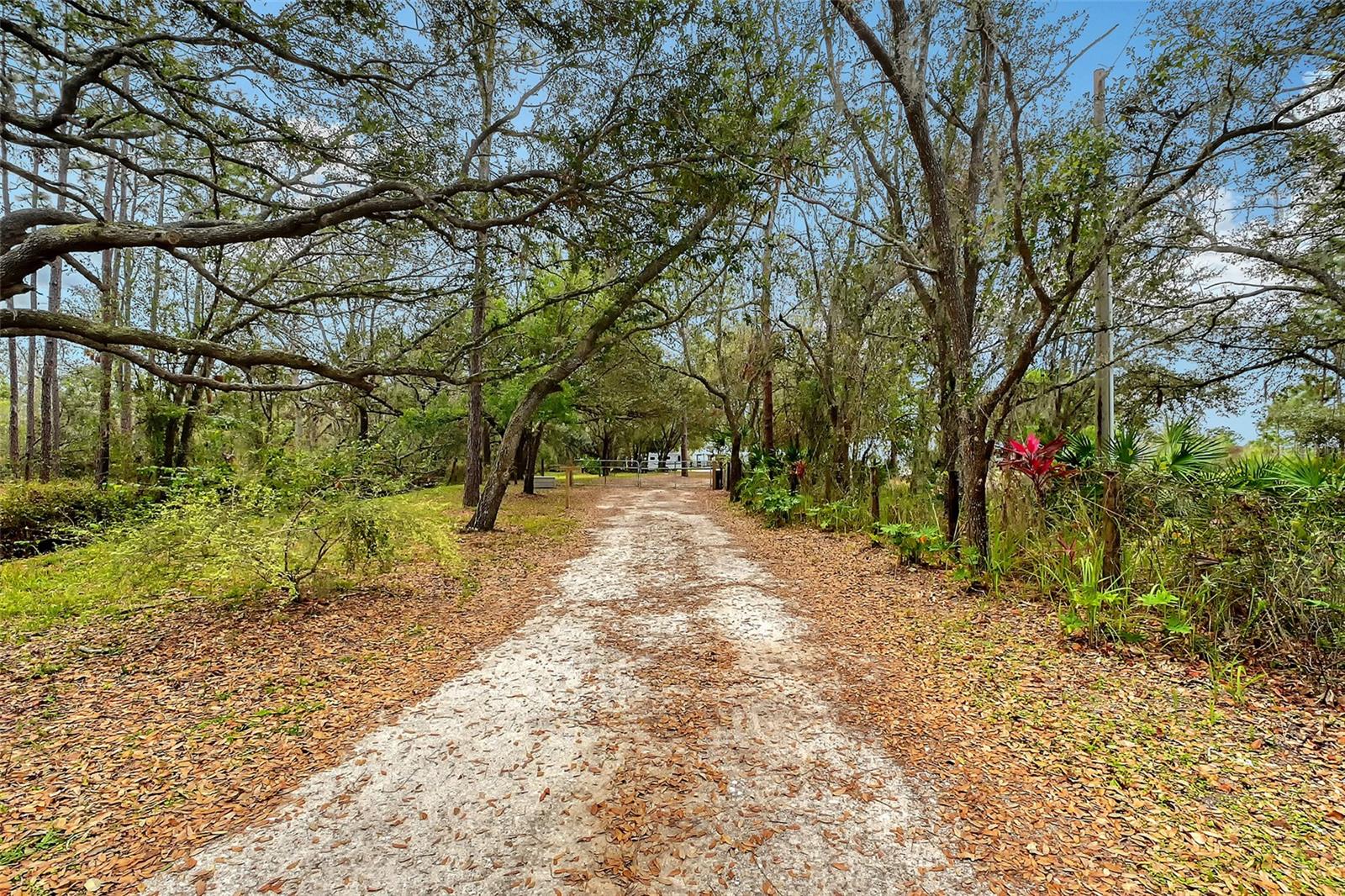 POMELLO PARK - Residential