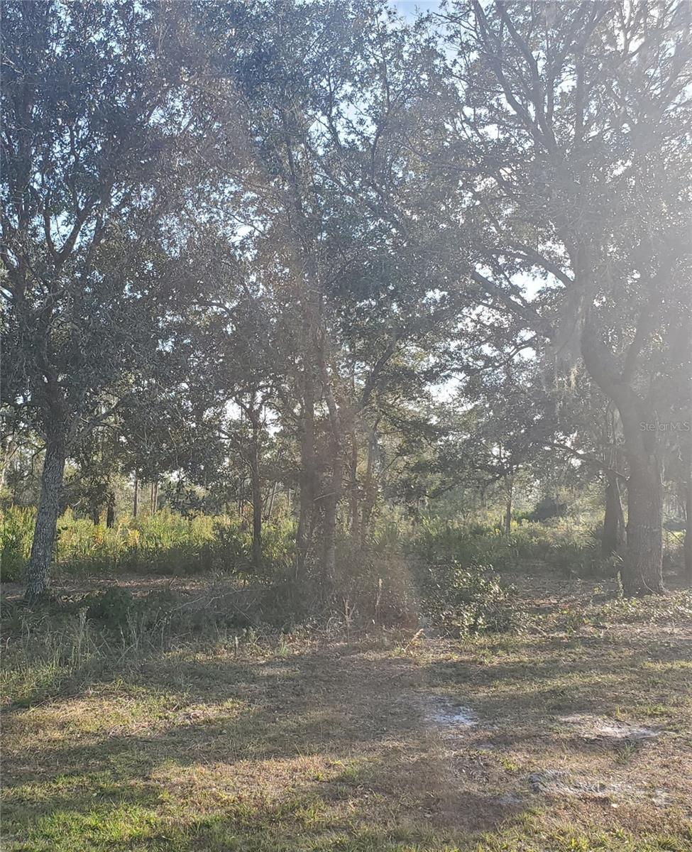 Build your dream home on this beautiful half-acre homesite located in the desirable Indian Lake Estates community. Enjoy peaceful living surrounded by nature, golf, fishing, and lake access with amazing amenities including a marina, fishing pier, clubhouse, and more. Conveniently located near Orlando, Disney, and Tampa.