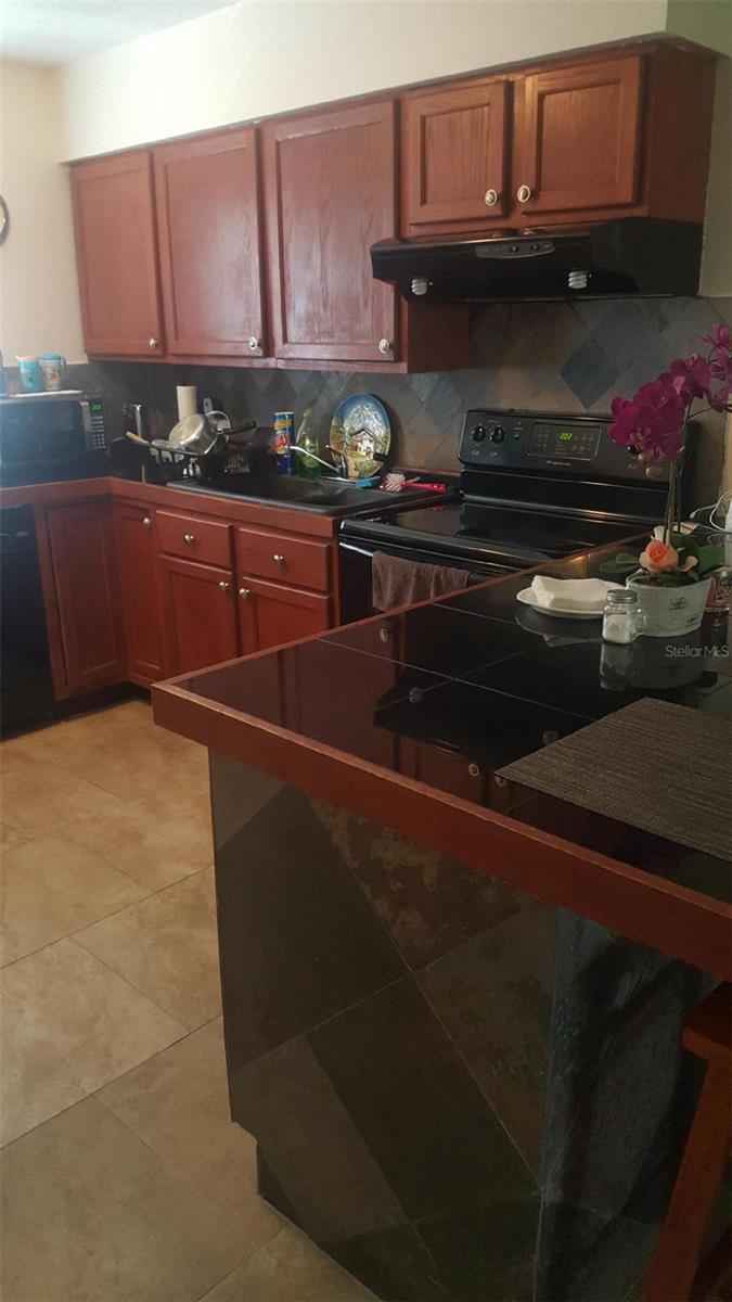 VILLAS ORLANDO CONDO - Residential Lease