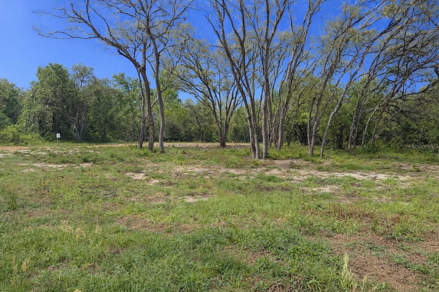 RIDGE MANOR ESTATE - Land