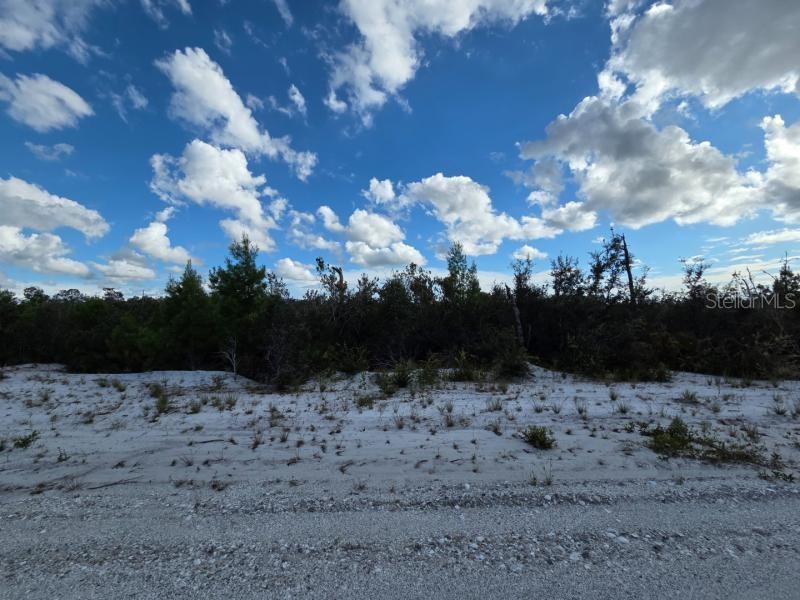 INDIAN LAKE ESTATES - Land