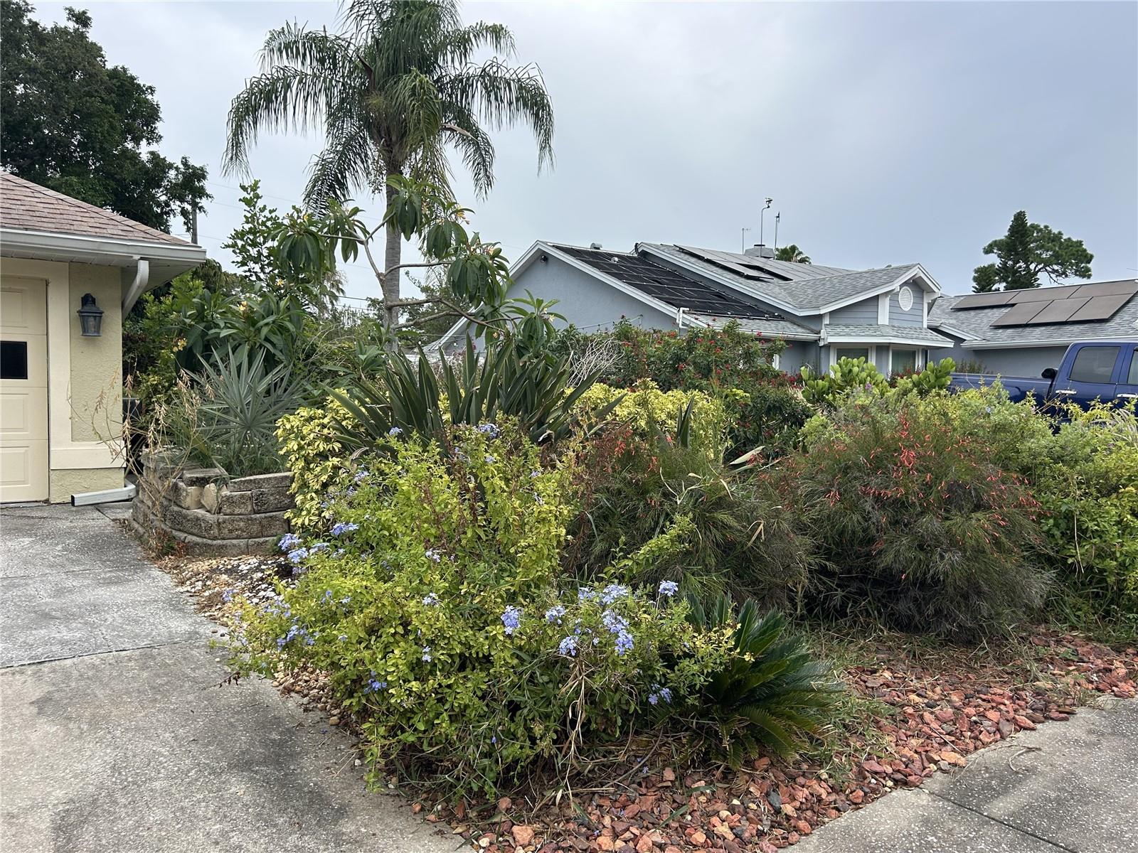 GULF BEACH PARK - Residential