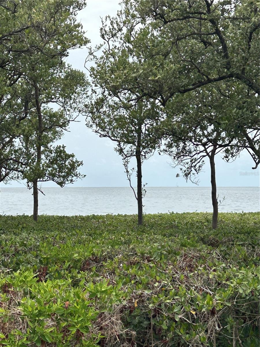 GULF BEACH PARK - Residential