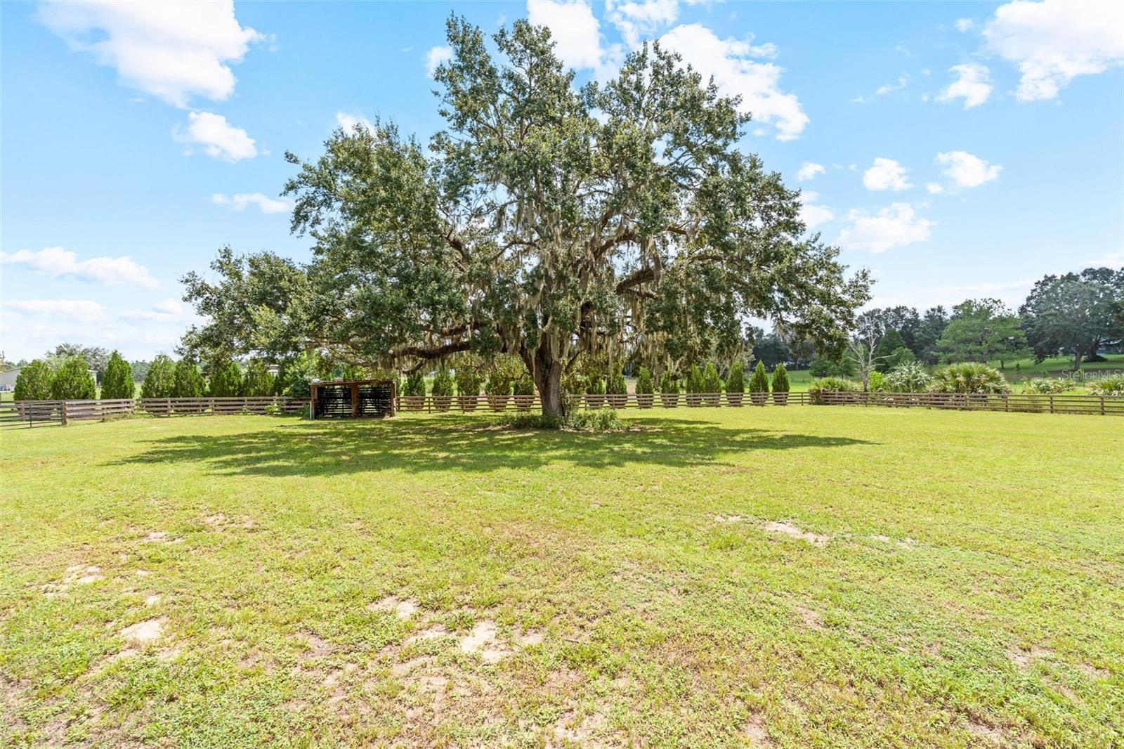 HIGLEY - Residential
