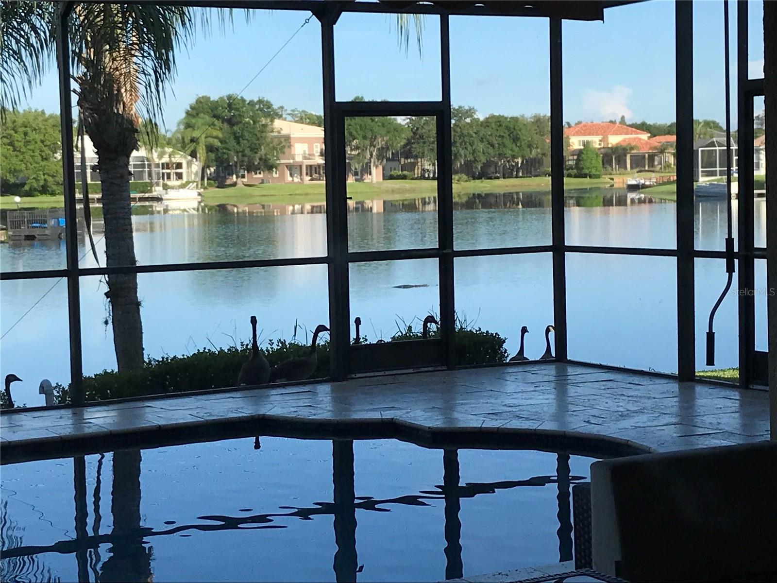 CORY LAKE ISLES PH 5 UNIT 2 - Residential