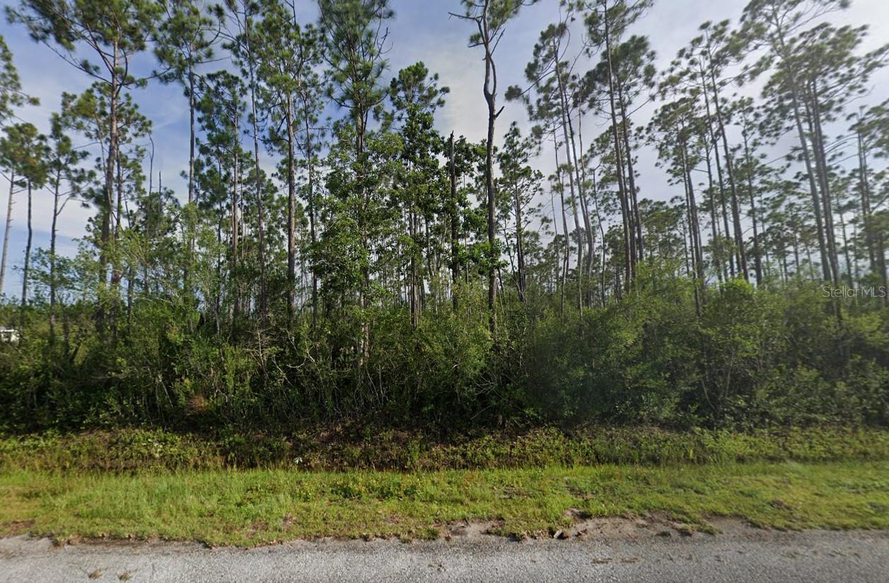 WILDWOOD ESTATES - Land