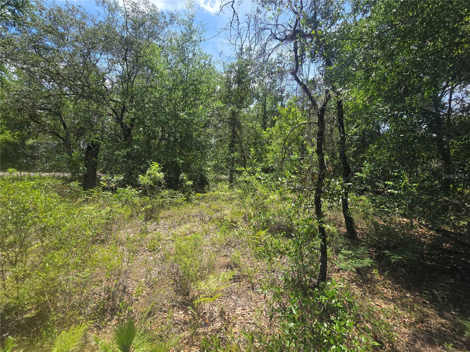 CITRUS SPGS UNIT 11 - Land