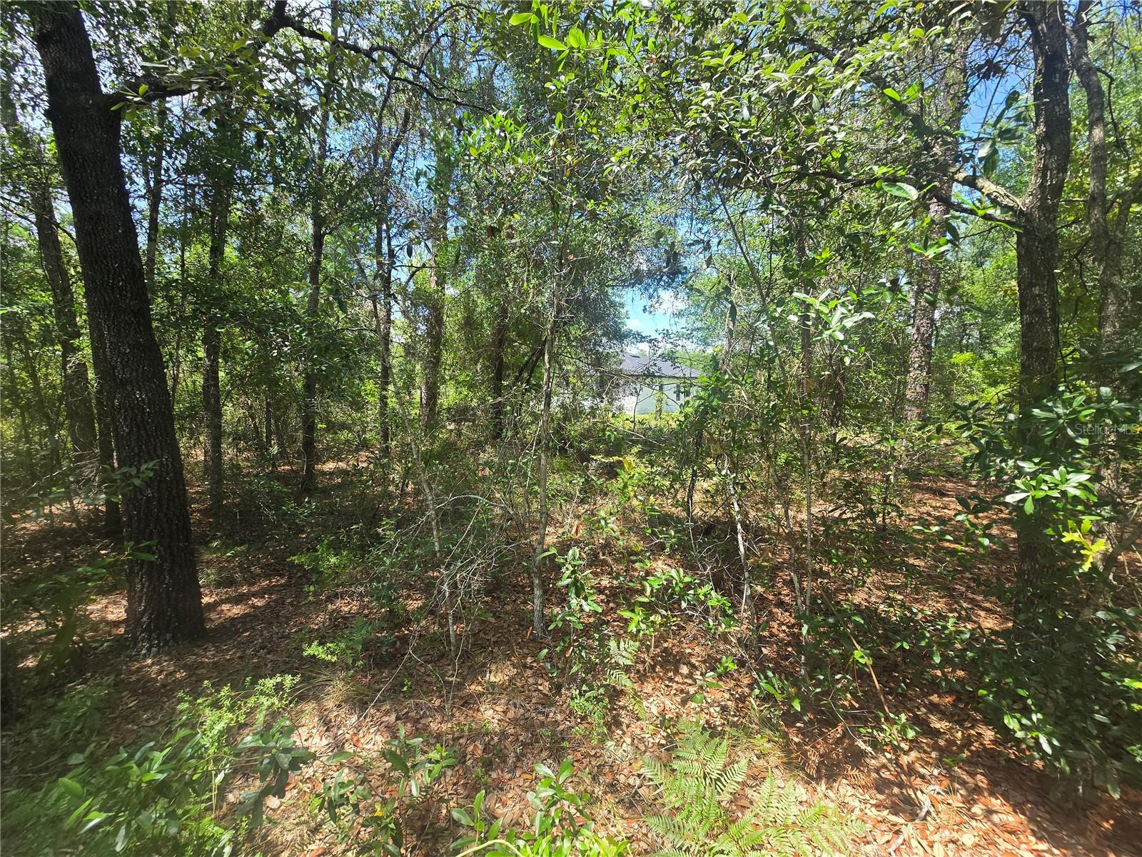 CITRUS SPGS UNIT 11 - Land