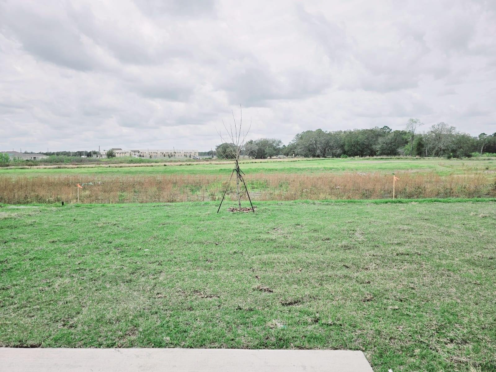 PEACE CREEK RESERVE - Residential