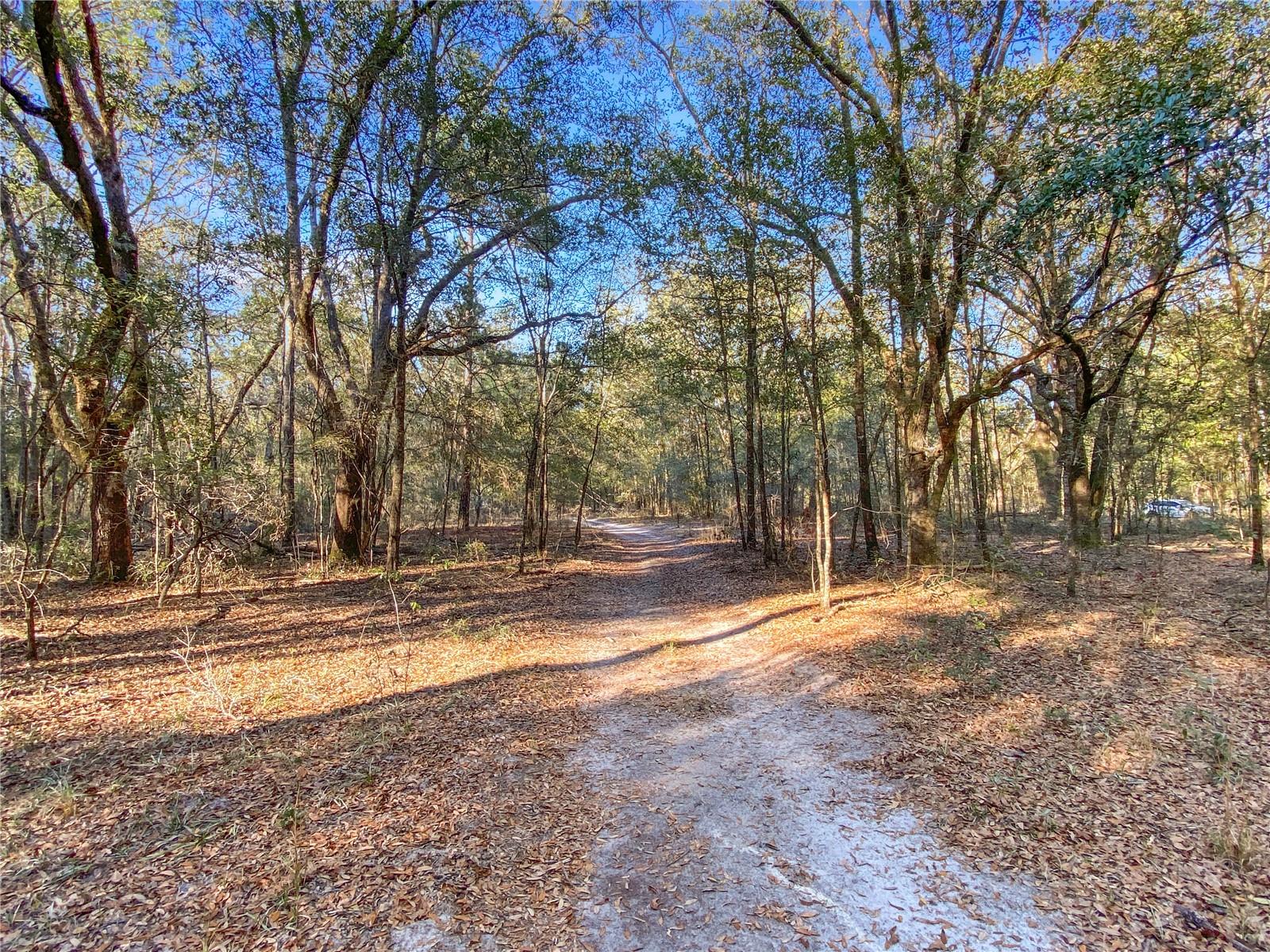 ARROW HEAD ACRES SUB - Land