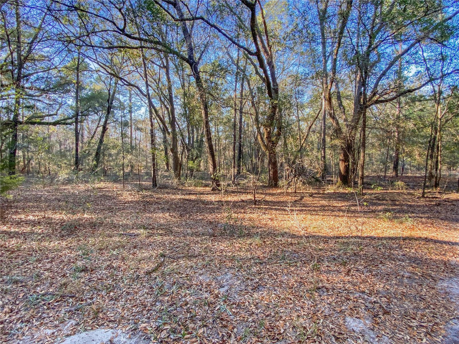 ARROW HEAD ACRES SUB - Land