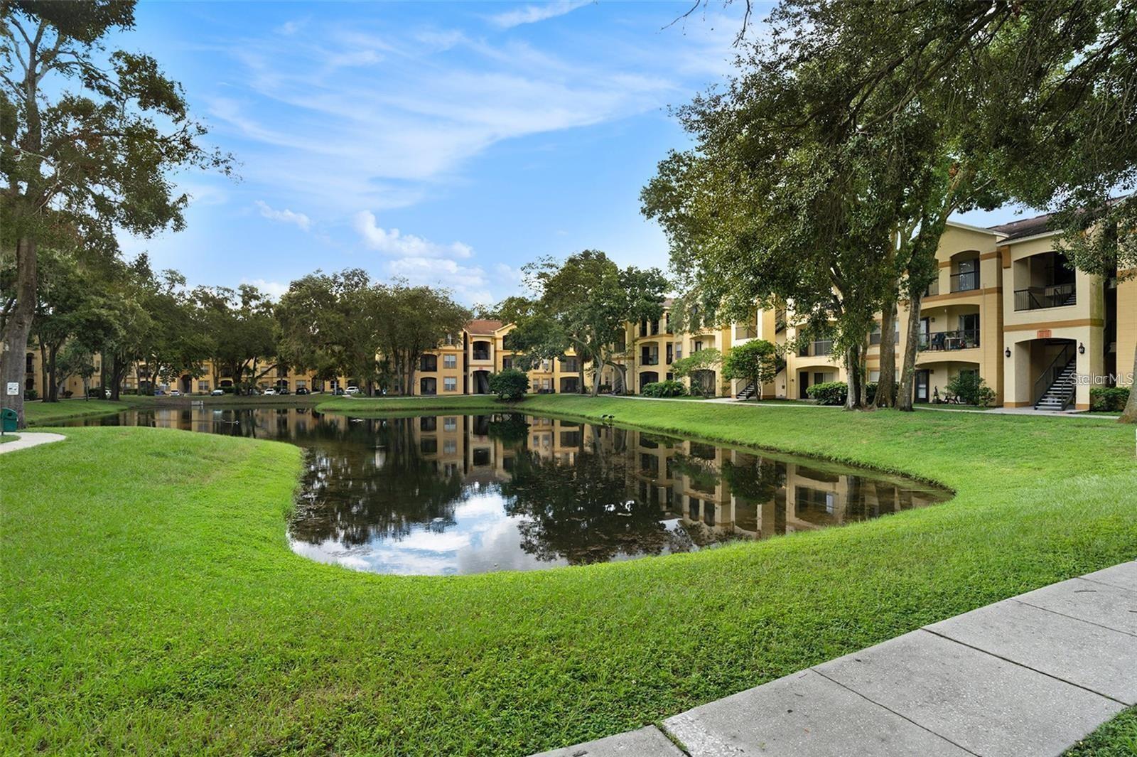 THE PINNACLE AT CARROLLWOOD A - Residential