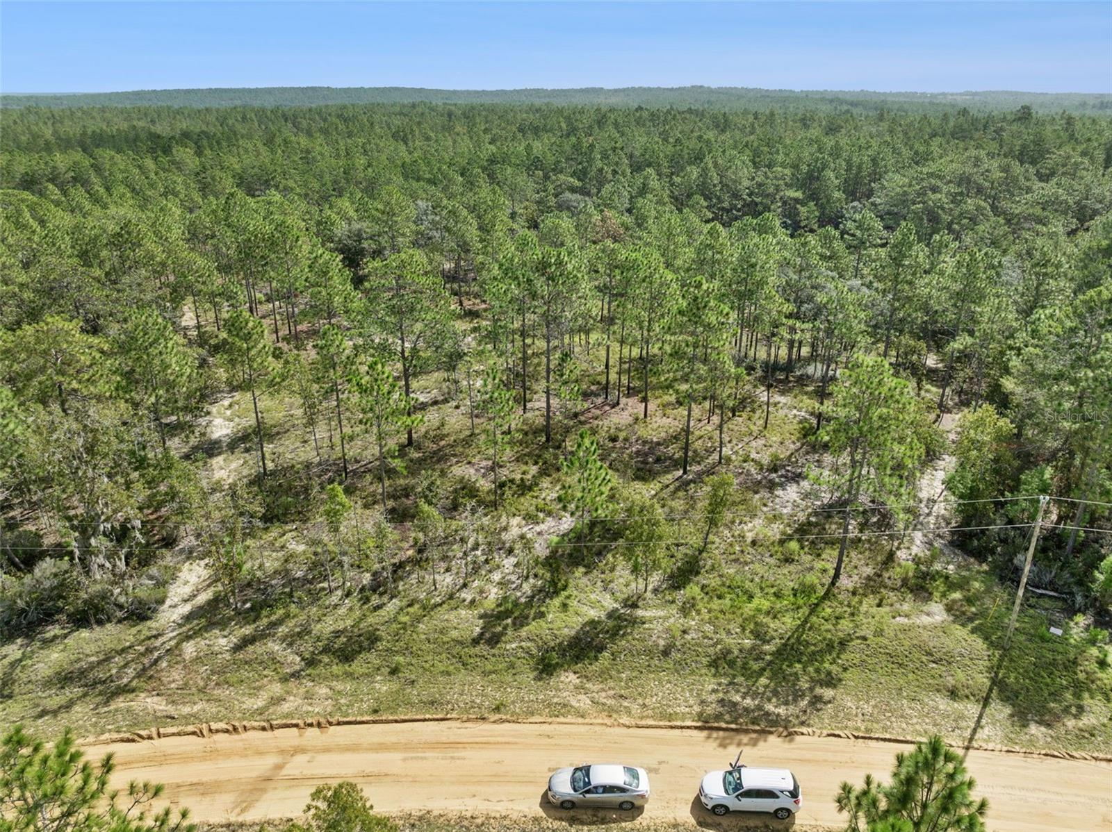 Gorgeous 5 acres all high and dry in Hawthorne. Lot sits on a cul de sac. No timeframe to build, bring your own builder to plan your dream home and view the breathtaking sunset! No HOA!!