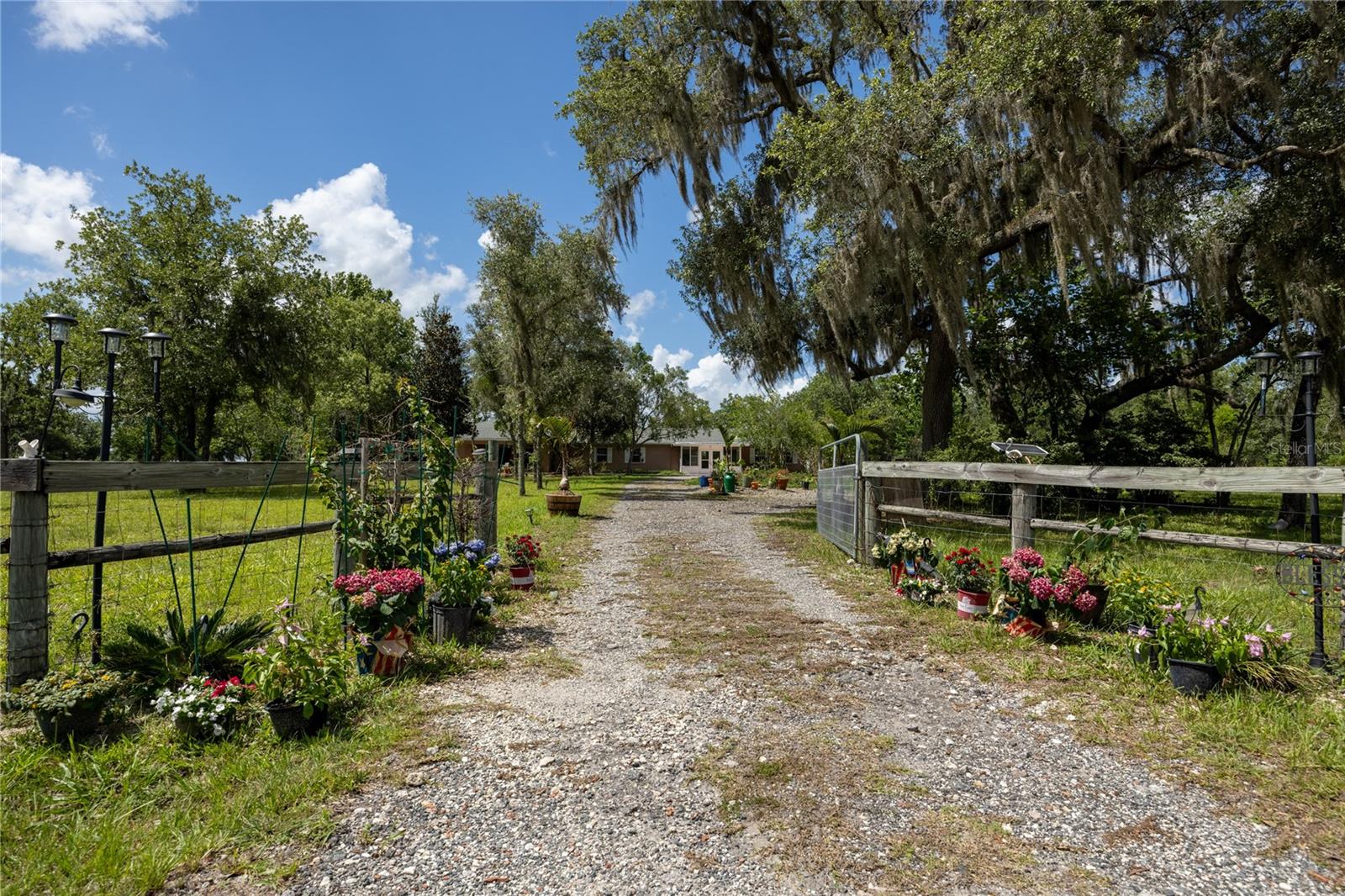 STEEPLECHASE FARMS - Residential
