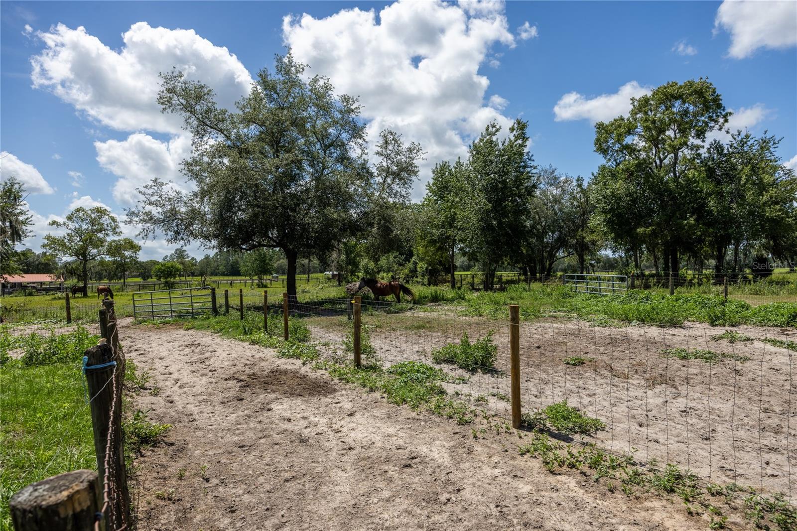 STEEPLECHASE FARMS - Residential