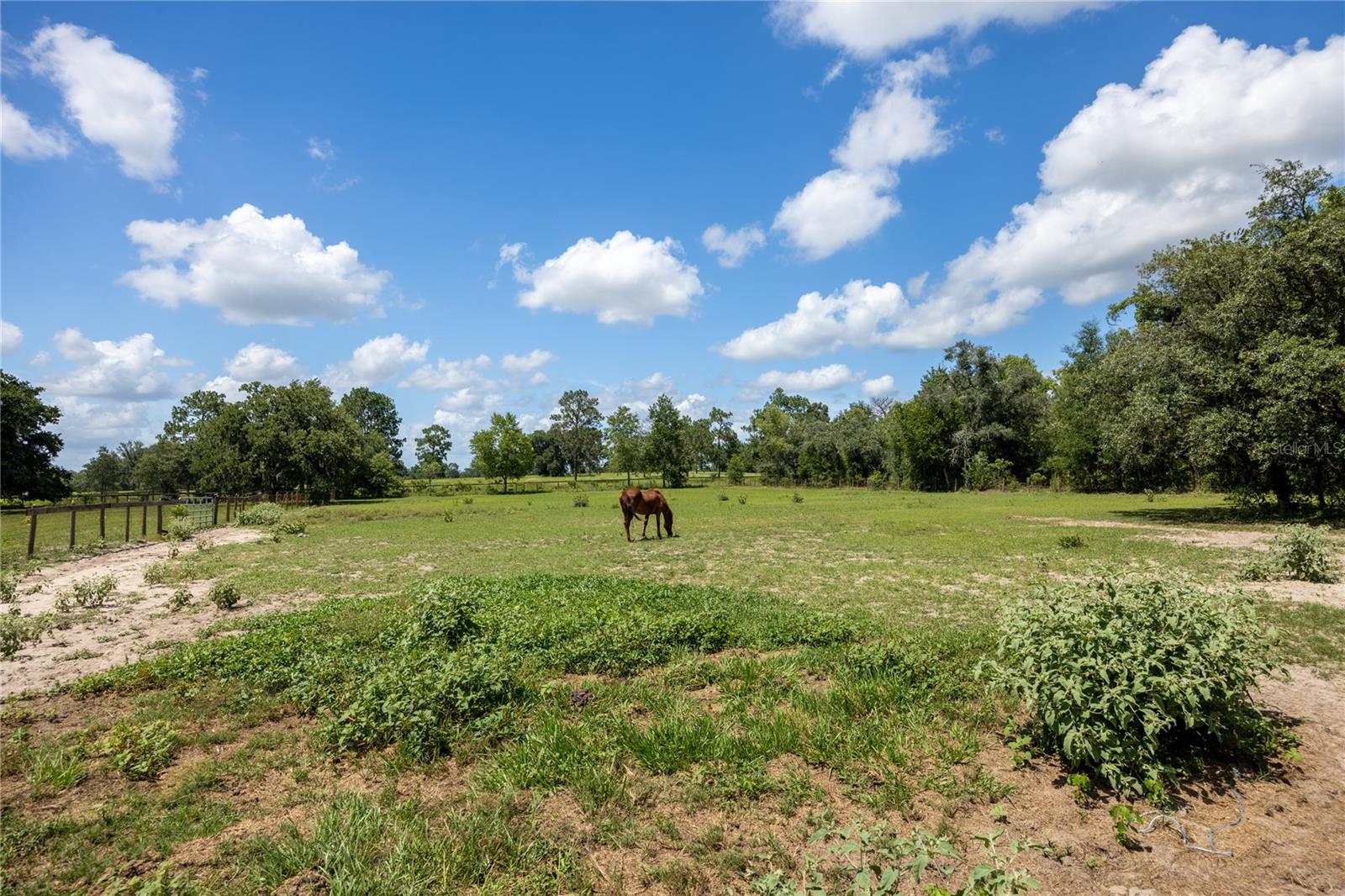 STEEPLECHASE FARMS - Residential