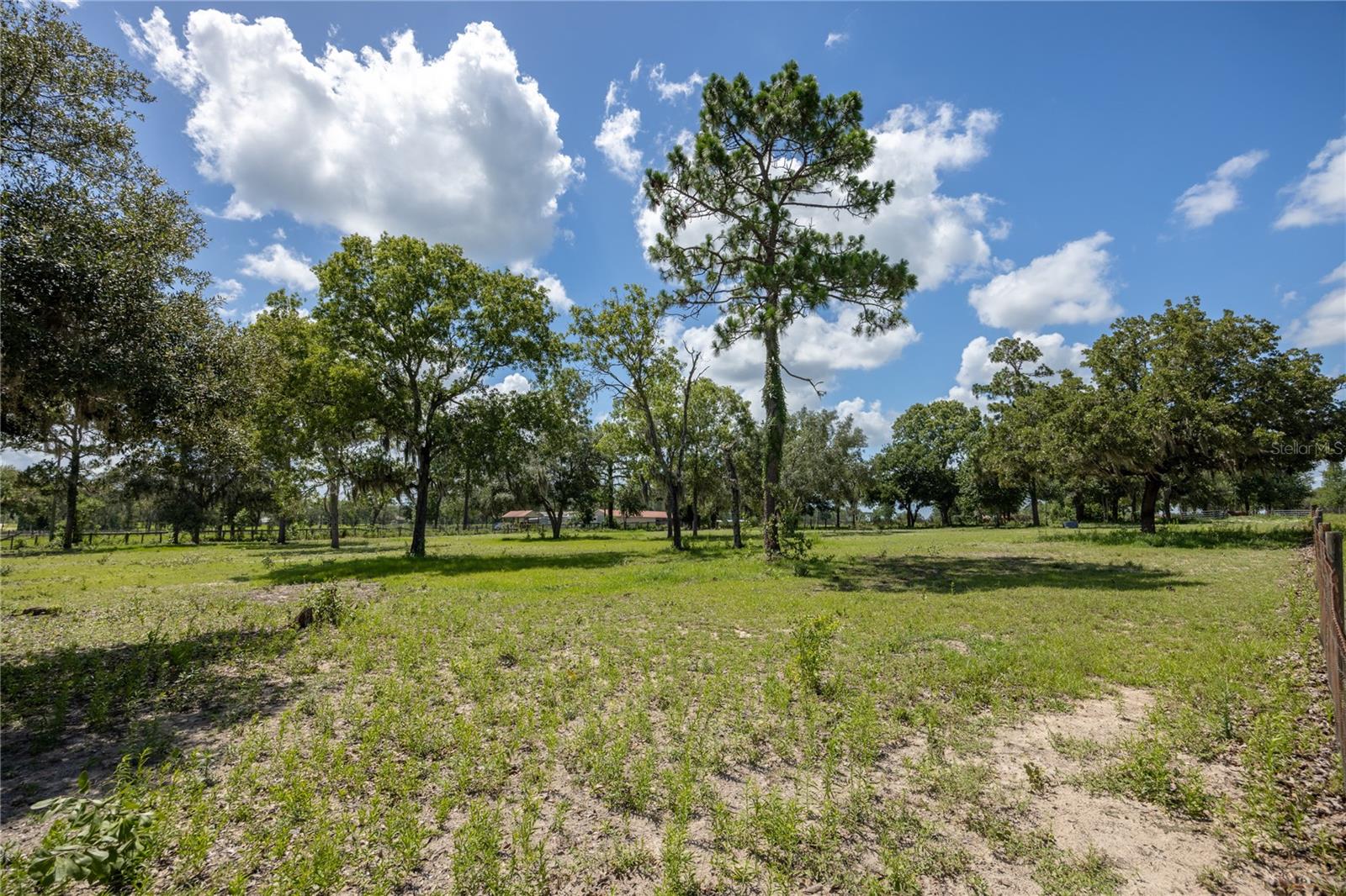 STEEPLECHASE FARMS - Residential