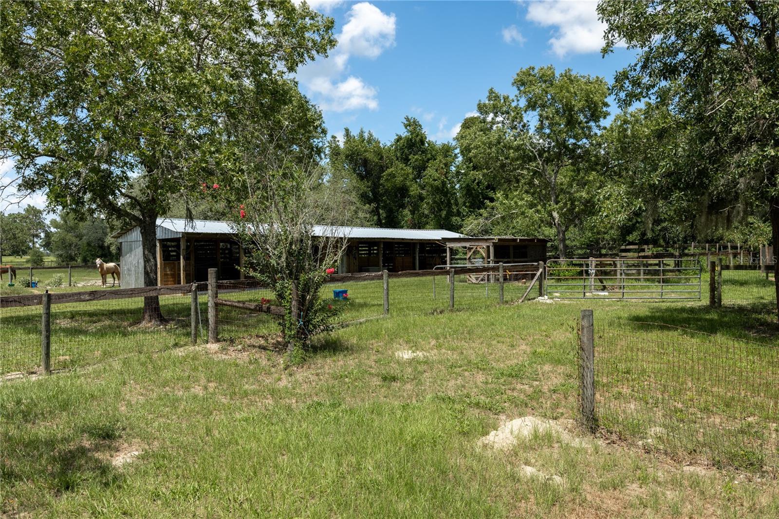 STEEPLECHASE FARMS - Residential