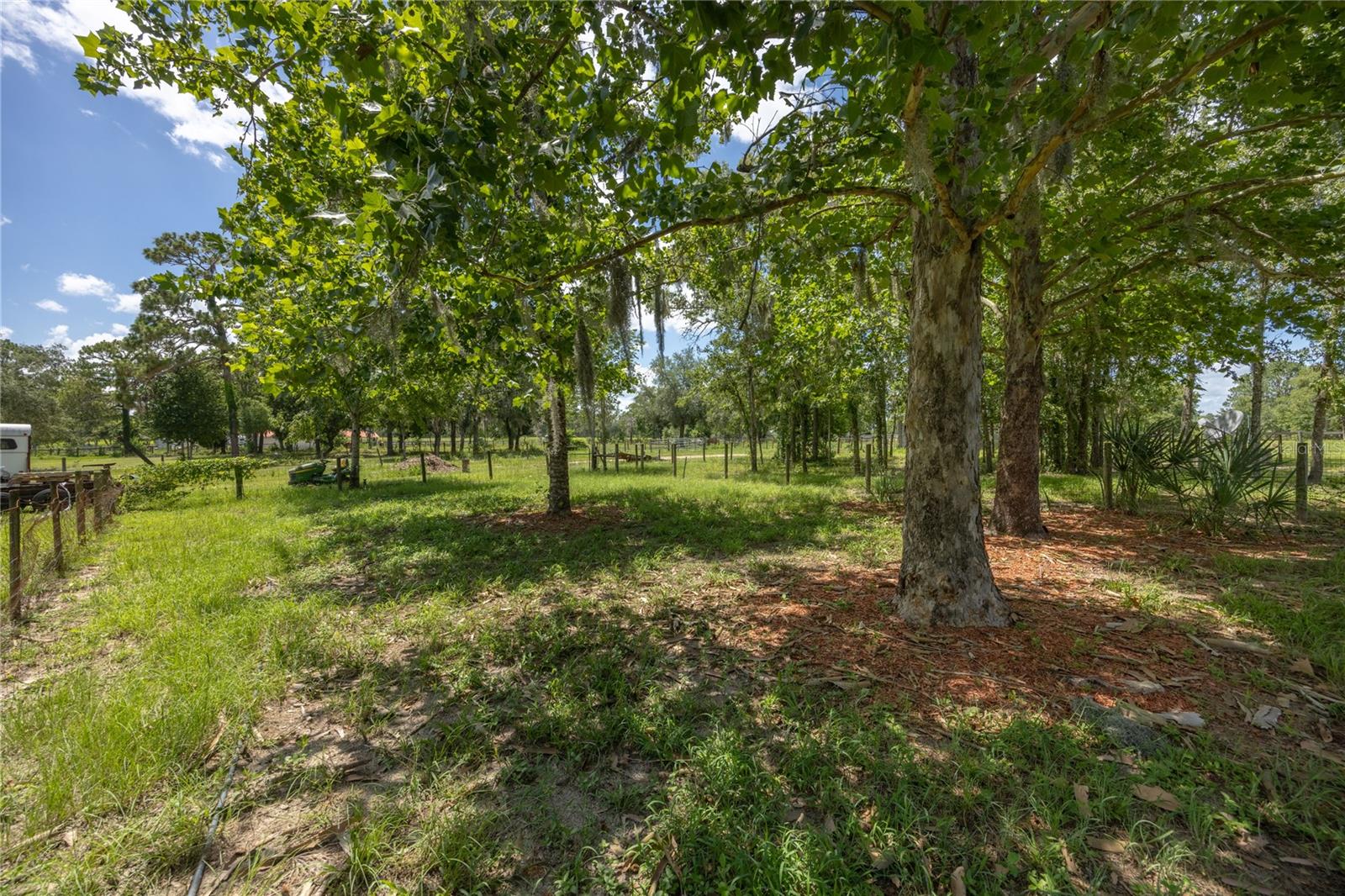 STEEPLECHASE FARMS - Residential