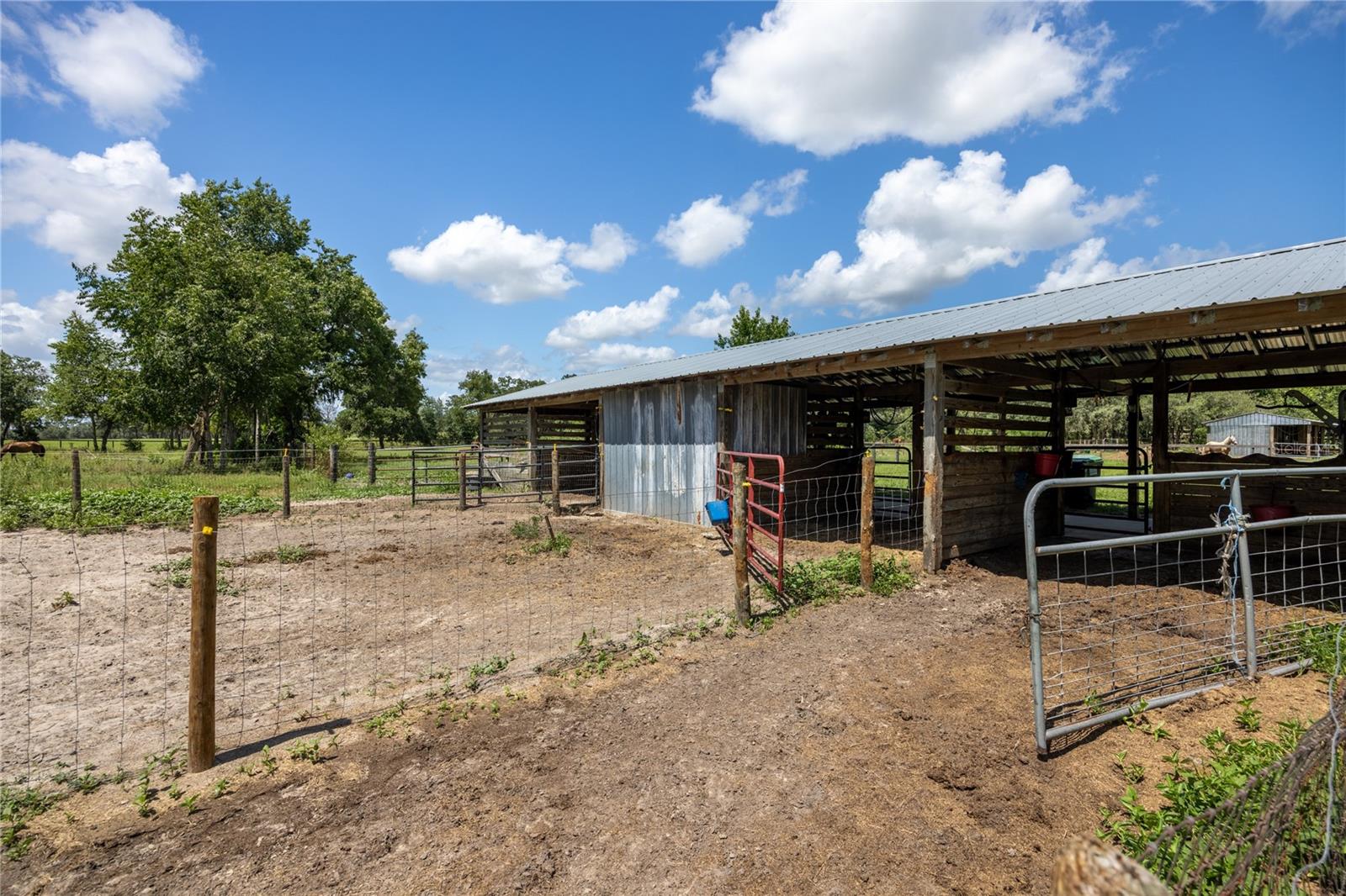 STEEPLECHASE FARMS - Residential