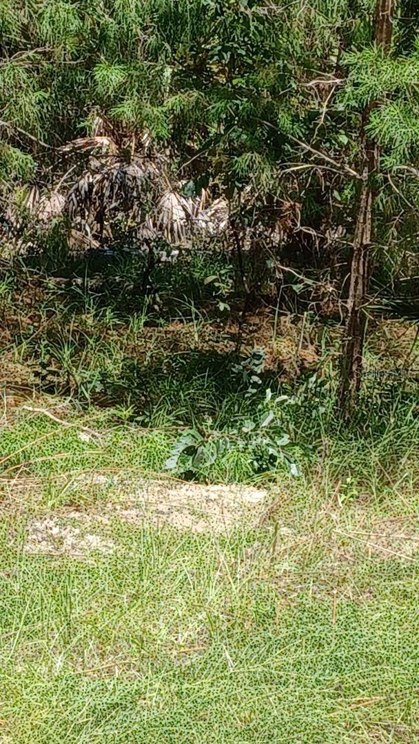 This wooded lot is in close proximity to George's Lake in the Lakeside Hills community. There is a public boat ramp for easy access to the 820 acre lake. Short drive to Gainesville and Palatka where you'll find an abundance of restaurants, shopping and other local attractions and Etoniah Creek State Forest. Sign on the property, go show.; Cleared: No