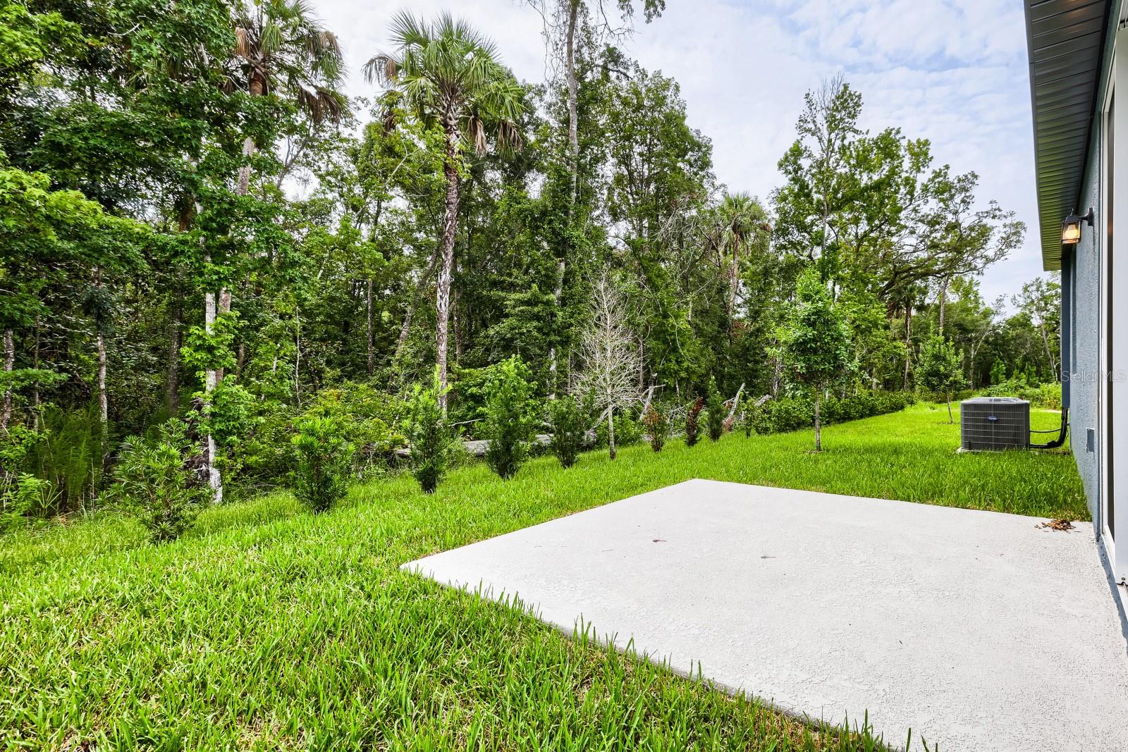 LEYLAND PRESERVE LOT 31 EASE DES IN ORB 4512 PG796 - Residential