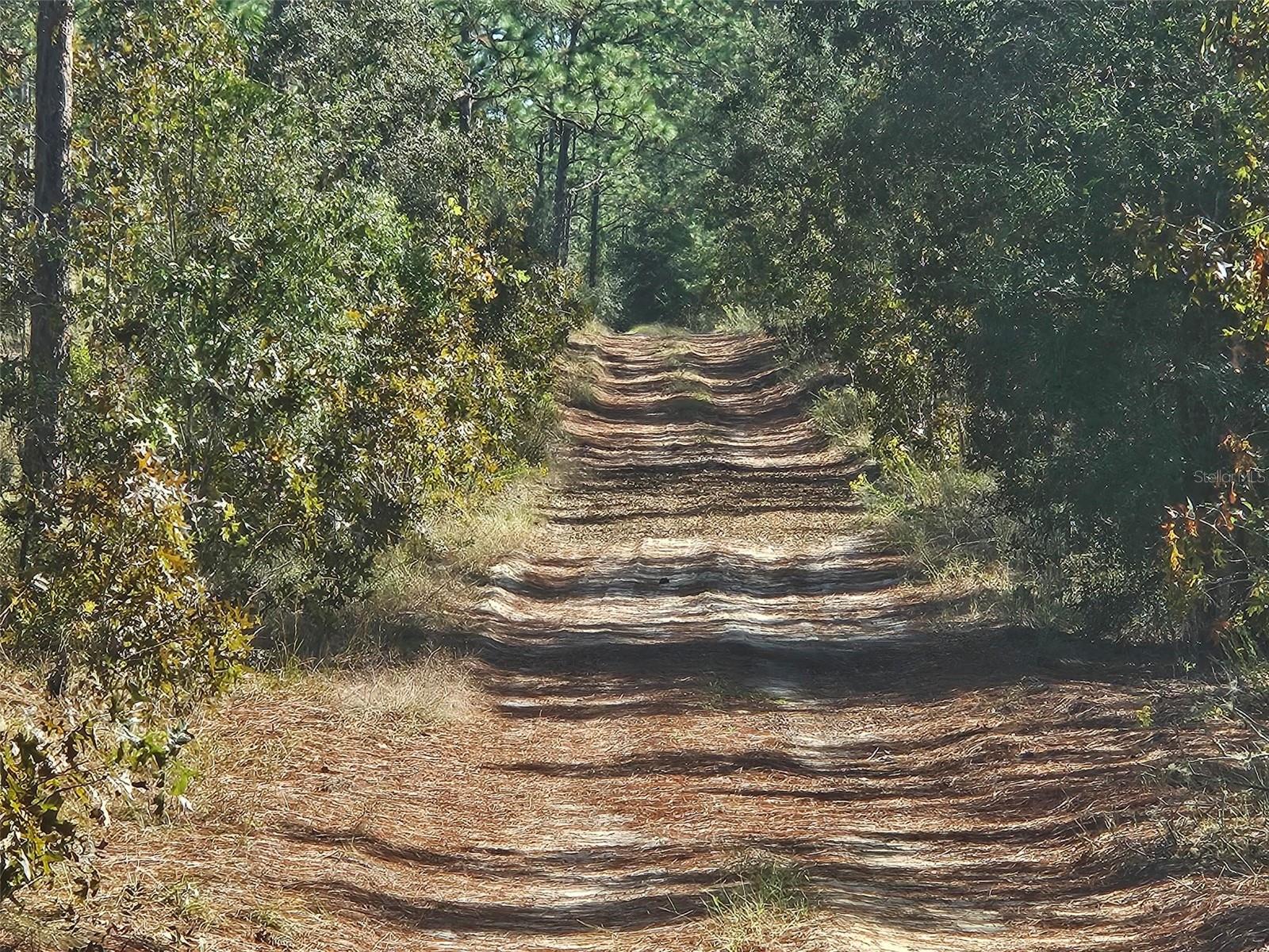 This parcel is conveniently located just minutes from both Dunnellon and Ocala, making it ideal for constructing a site-built home or placing a manufactured home, as both options are permitted within this neighborhood. The Rainbow River and the World Equestrian Center are both close by, along with options for recreation, shopping, dining, and access to medical services.
