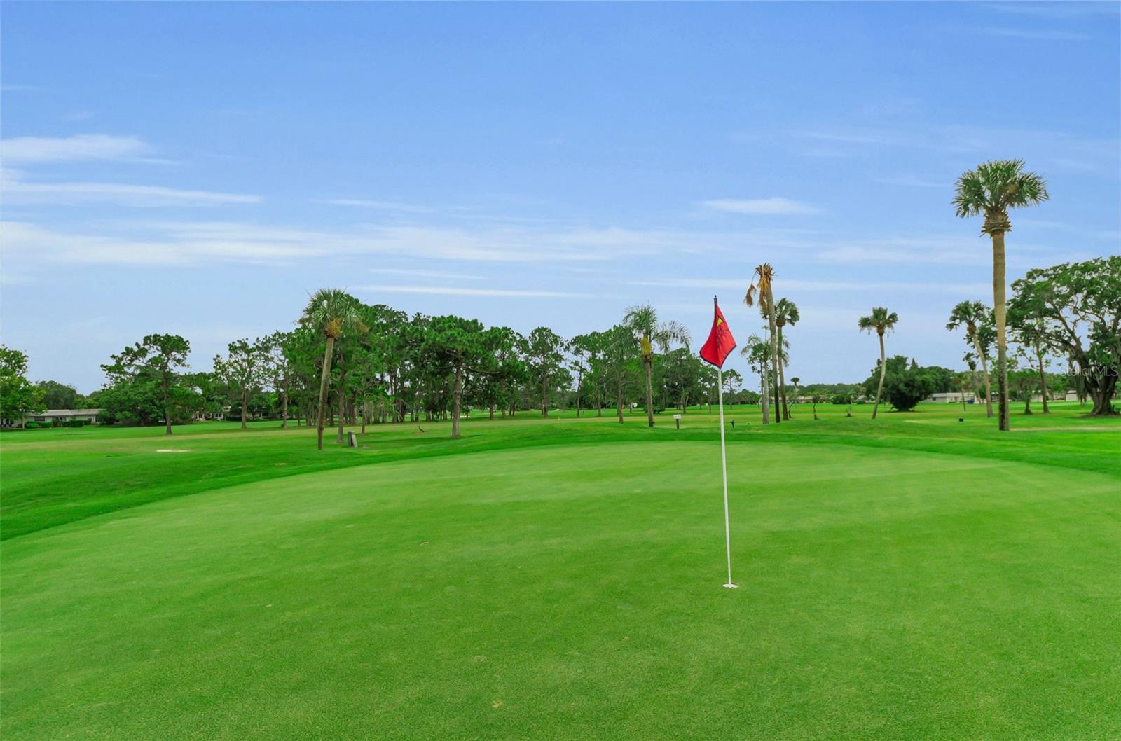 SEVEN SPGS VILLAS CONDO - Residential