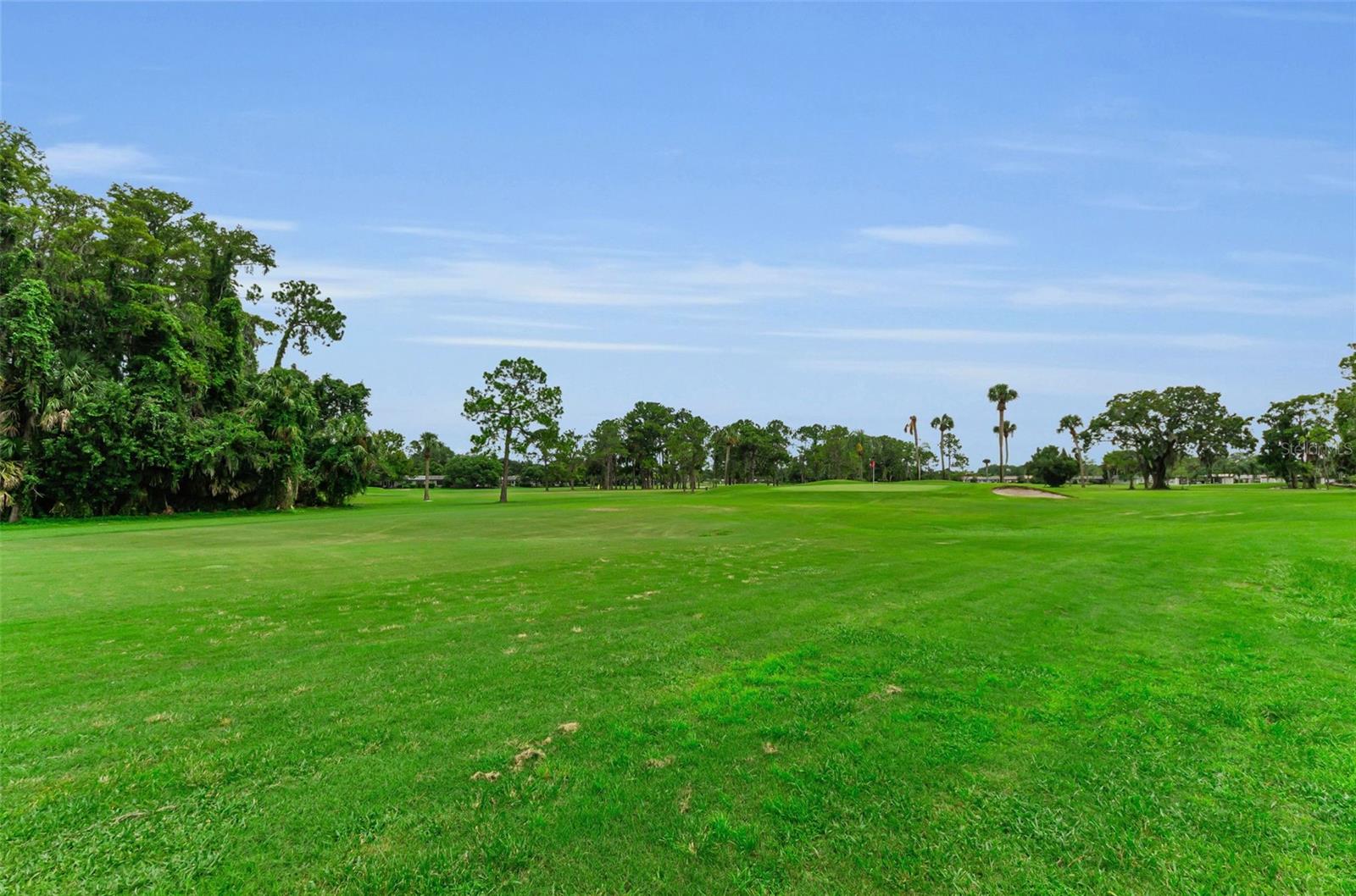 SEVEN SPGS VILLAS CONDO - Residential