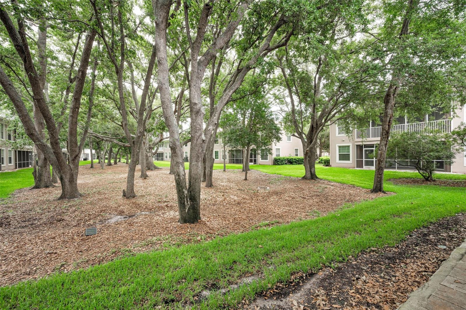 COACHMAN RESERVE CONDO - Residential