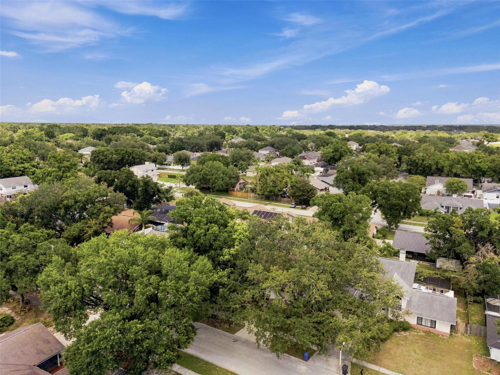 BUCKHORN FIRST ADD UNIT 2 - Residential