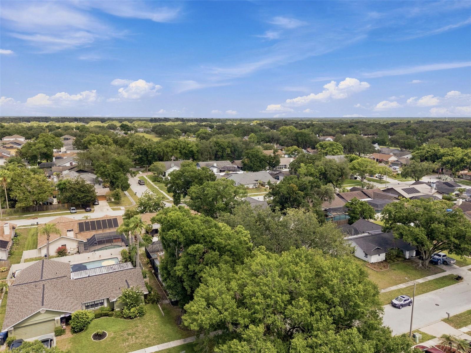 BUCKHORN FIRST ADD UNIT 2 - Residential