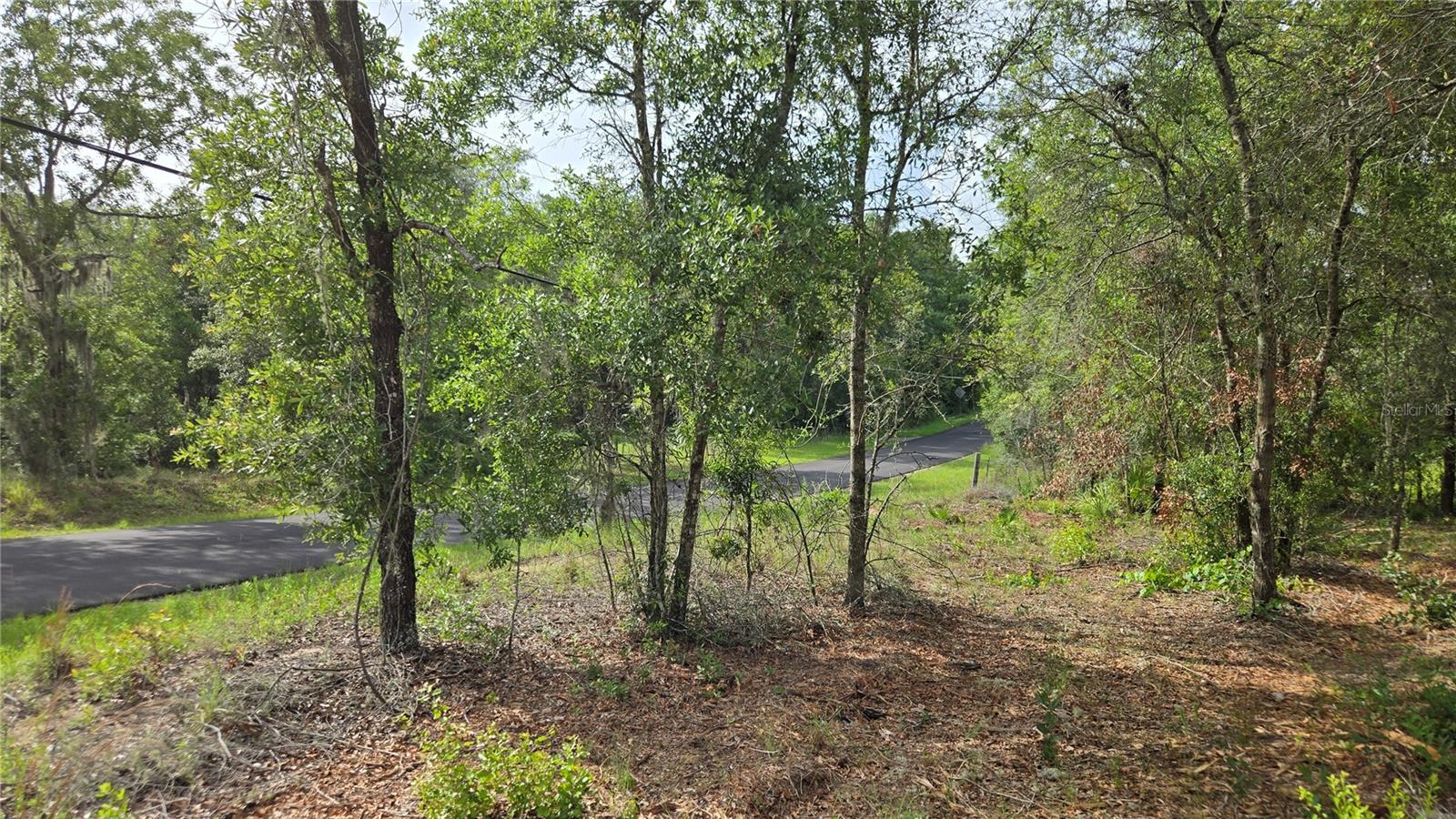 TANGLEWOOD - Land