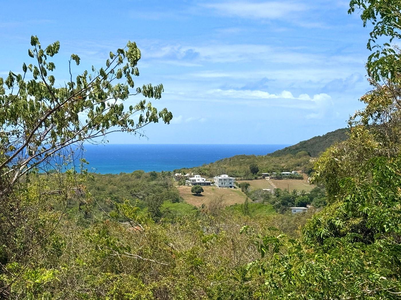 Discover the possibilities on this beautiful 5-acre parcel located in one of Vieques' most desirable rural settings. Finca Casurina offers a unique combination of privacy, natural beauty, and convenience, creating an ideal canvas for a private estate, vacation retreat, hobby farm, or future island residence.

The property features gently rolling terrain with mature native vegetation, open areas suitable for building, and a peaceful atmosphere that captures the essence of Vieques living. Enjoy cooling trade winds, star-filled night skies, and the tranquility that comes from owning a substantial piece of land on one of the Caribbean's most sought-after islands.

Electric pedestal and water lines are already installed.

Conveniently located within easy reach of Isabel Segunda, Esperanza, beaches, restaurants, shopping, and ferry and airport access, this parcel provides the perfect balance between seclusion and accessibility. Whether you envision a sustainable homestead, tropical garden estate, or a private getaway surrounded by nature, Finca Casurina offers the space and flexibility to bring your vision to life.

Large acreage parcels with this combination of location, usability, and natural beauty are increasingly difficult to find on Vieques. Don't miss this opportunity to create your own island paradise.