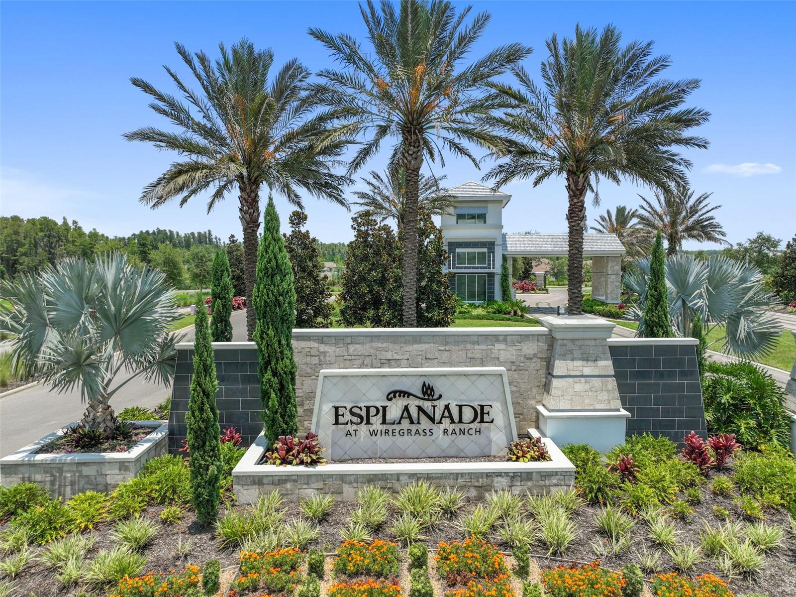 ESPLANADE/WIREGRASS RANCH PH I - Residential