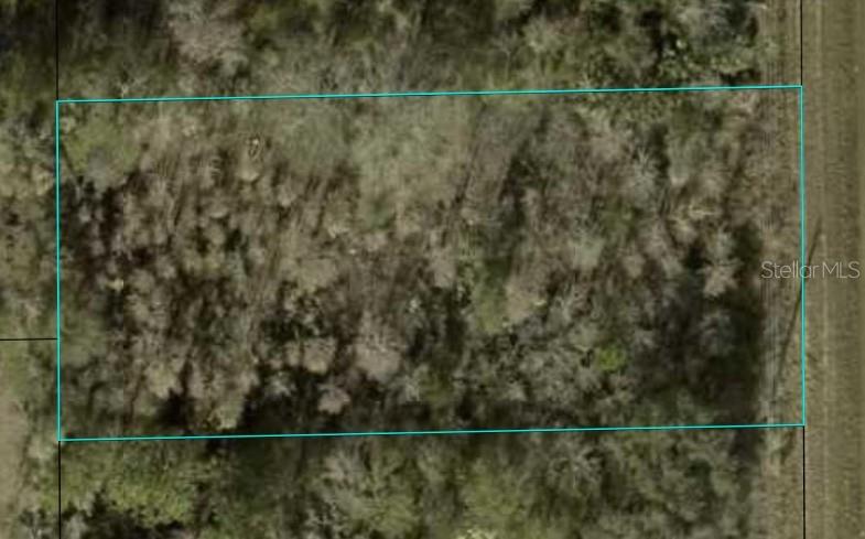 1366 County Rd 305, Bunnell, FL :0.50-Acre Lot in Daytona North – Zoned M-H 1 with Future MUL Potential for Residential or Small-Scale Commercial Use!

Spacious 0.50-acre lot (21,998 sq. ft.) in Daytona North Subdivision. Currently zoned M-H 1 (Rural Mobile Home District), this property is ideal for a single-family home, manufactured, or mobile home, with room for outdoor living and accessory structures. The Future Land Use Map (MUL – Mixed Use Low Intensity) designation adds potential for small-scale commercial or mixed-use development with proper approvals. Located in a quiet, unincorporated area of Bunnell, the lot offers privacy while still close to Palm Coast, Flagler Beach, and local amenities. Buyers are encouraged to verify zoning, land use, and permitted activities directly with Flagler County.