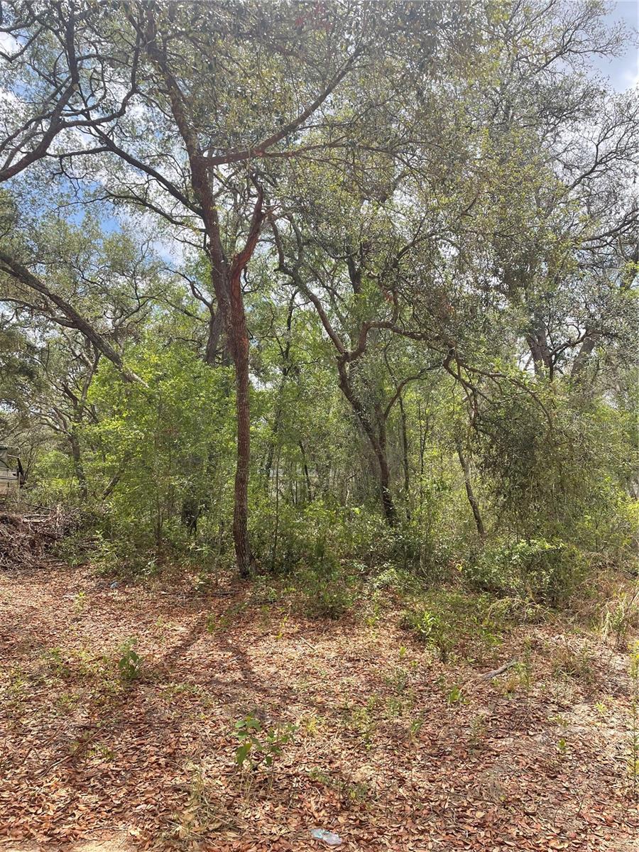 CARLTON VILLAGE PARK - Land
