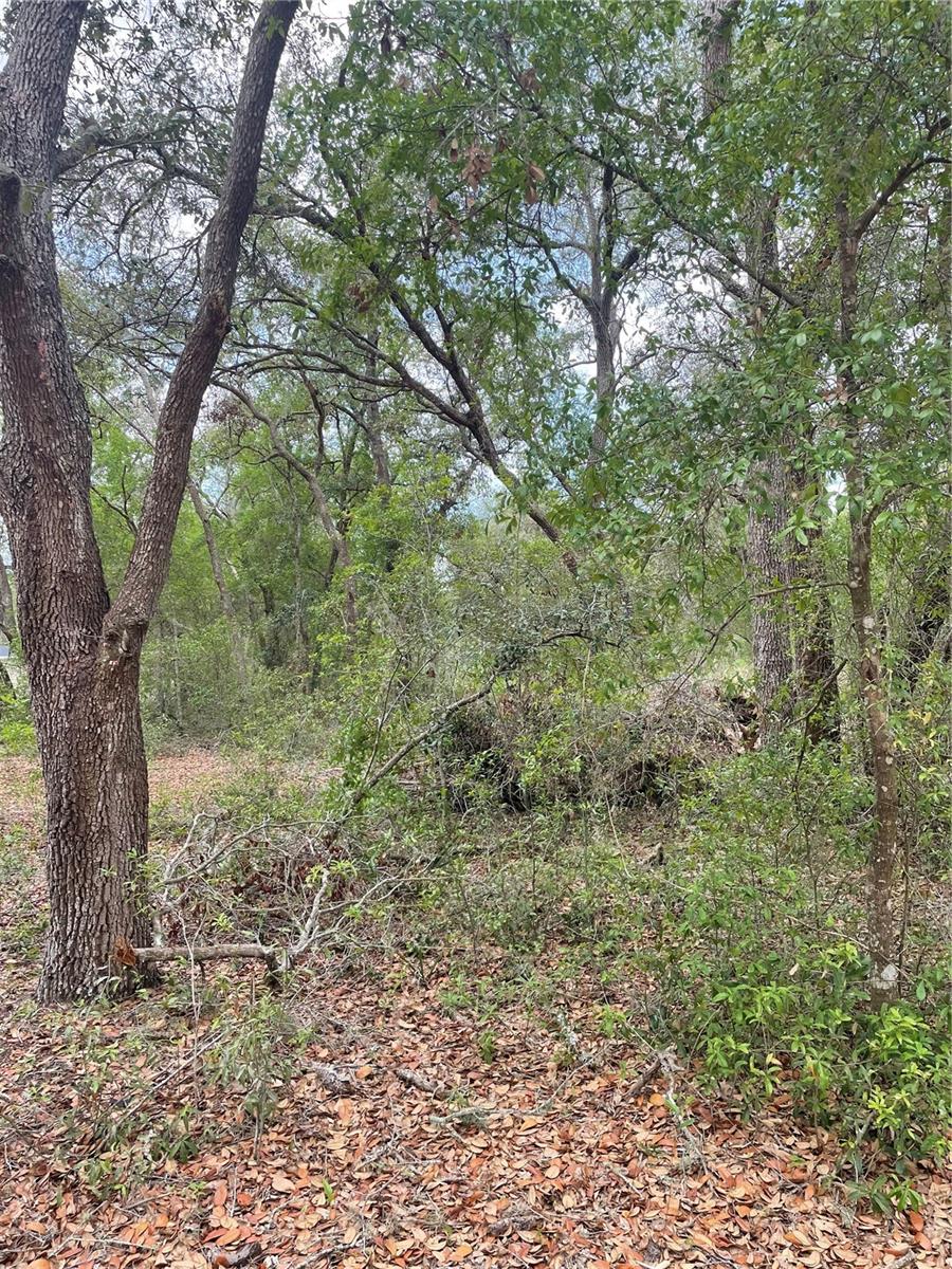 CARLTON VILLAGE PARK - Land
