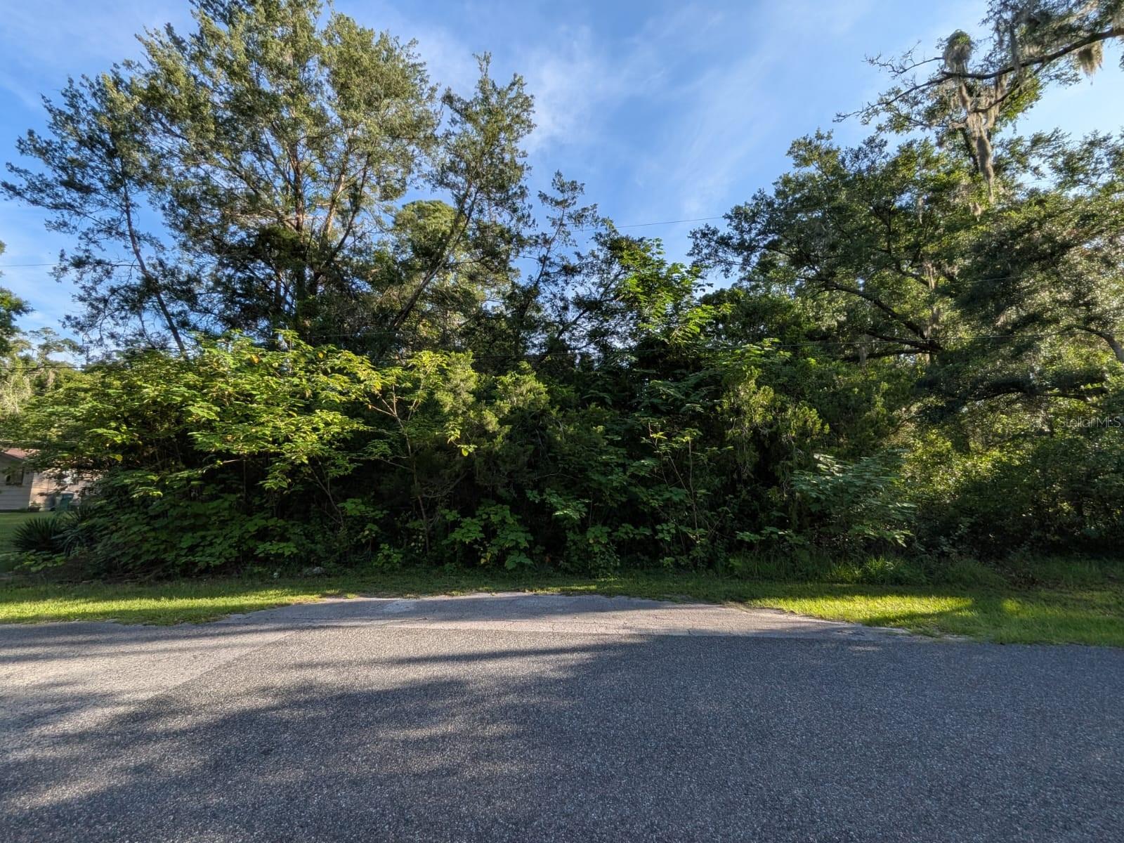 Pristine wooded 0.32-acre parcel nestled in an established NE Ocala community. Enjoy a convenient location just minutes from downtown Ocala, shopping, dining, schools, parks, medical facilities, and major roadways. Whether you're looking to add to your investment portfolio or secure land for future possibilities, this property offers an excellent opportunity.
