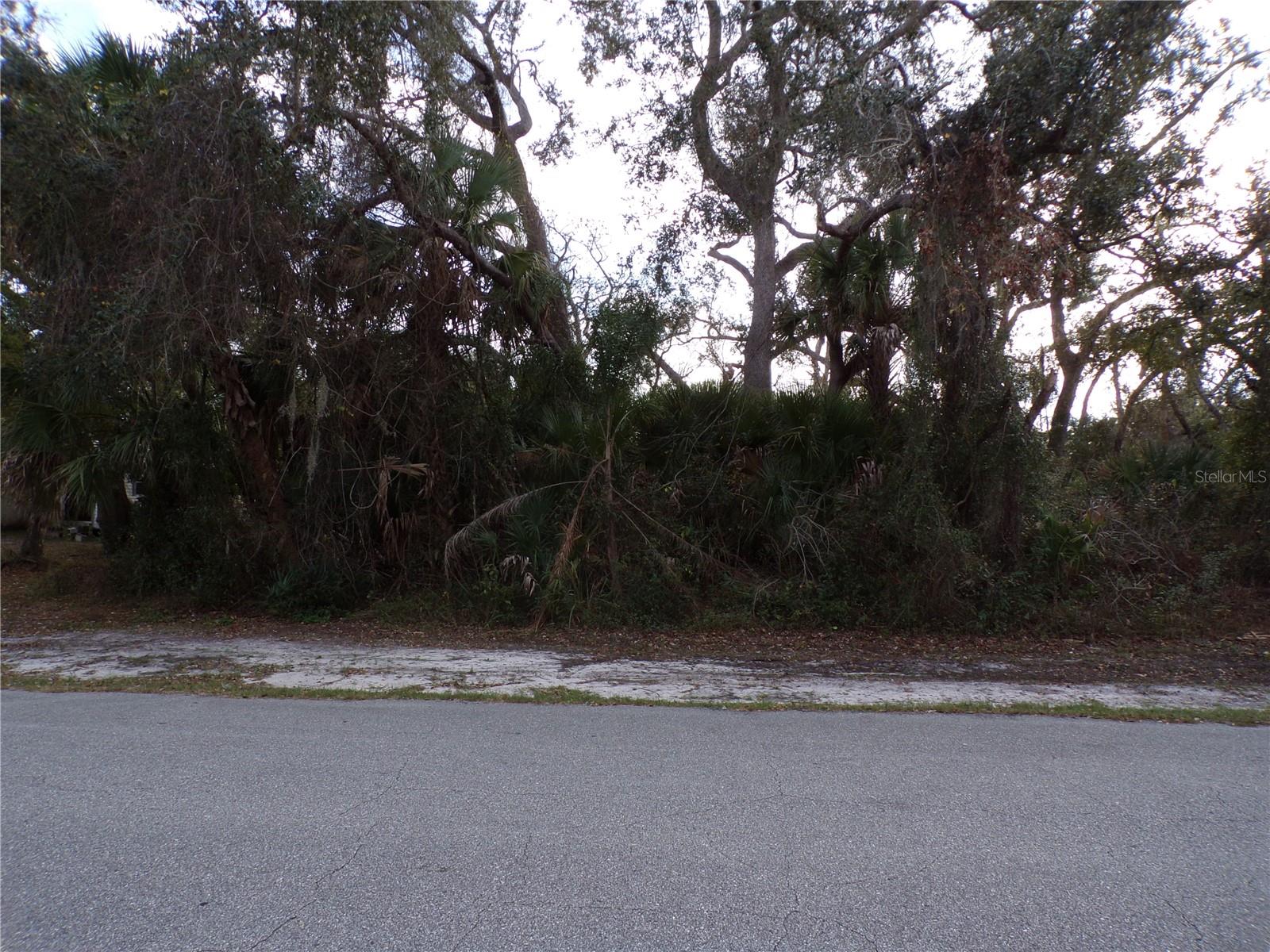 This lot is on a quiet street, that would be a great place to build your dream home and retire or raise your family. Less than 5 miles to I75 makes this location an easy commute to almost anywhere, and only 20 miles to Venice Pier and Beach with amazing sunsets, 8 miles to Cocoplum Village Shops with lots of shopping and dining options. Atlanta Braves spring training and the fairgrounds are just minutes away, also multiple golf courses and some of the best boating and fishing in all of Florida. Red Soxs, Orioles, Twins and Rays spring training all within an hour’s drive. Buyer and buyers’ reps are responsible for determining environmental conditions and endangered species restrictions. This lot is priced to sell so please call for availability! This lot is at a great price point for the investor call today.
